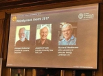 2017年诺贝尔化学奖揭晓 3位科学家分享奖项 - 新浪广东