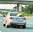 广清高速上，一辆轿车车尾绑着两只鸭子。广州日报全媒体记者摄 - 新浪广东