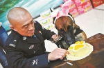 北京：警犬集体过生日 卖萌卖萌吃特制蛋糕 - News.Ycwb.Com