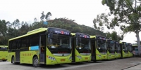 樟木头镇共有95辆电动公交车，35辆已正式挂牌上路，基本覆盖镇主要公交线路。（通讯员 蒋鑫 摄） - 新浪广东