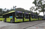 樟木头镇共有95辆电动公交车，35辆已正式挂牌上路，基本覆盖镇主要公交线路。（通讯员 蒋鑫 摄） - 新浪广东