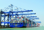 南沙港是国内少数能满足当今全球最大集装箱船舶靠泊要求的港区。林喜东 摄 - 新浪广东