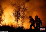 报告：全球林火频发破坏严重 暖化增加发生风险 - 新浪广东