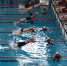 学校游泳队在广东省大学生游泳锦标赛中勇夺佳绩 - 华南农业大学