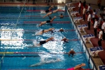 学校游泳队在广东省大学生游泳锦标赛中勇夺佳绩 - 华南农业大学