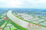 部分塘租暴涨100% 顺德现代水产养殖业做出有益尝试 - 新浪广东