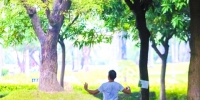 昨日傍晚，顺德区乐从镇文化公园内，一名男子穿着短袖打太极拳。/佛山日报记者周春摄 - 新浪广东