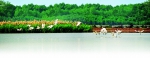 广州建19个湿地公园 野生动物多了 - 广东大洋网
