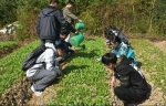 在浙江农林大学，“春耕秋收”成为农学类大学生“必修课”。（照片由学校提供） - 新浪广东