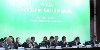 韩国文化体育观光部次官卢泰刚在世界反兴奋剂机构(WADA)理事会会议上发言。(韩联社) - 新浪广东
