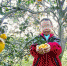 小宇航站在自家的柑橘园里。 本文图片均为受访者提供 - 新浪广东