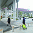 广州桥下空间品质化提升工程初见成效 - 广东大洋网