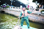 水上环卫工：救人是本能 - 广东大洋网