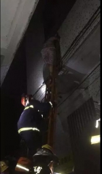 潮州市区一出租屋发生火灾 消防队员勇救11人 - 新浪广东