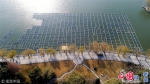 济南大明湖开建超级喷泉 总面积达1万平方米形如稻田 - News.Ycwb.Com