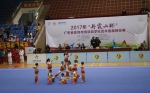 省体育传统项目学校武术锦标赛举行 - 体育局