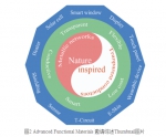 高进伟课题组在AFM刊发论文：如何在大自然中寻找透明导电网络 - 华南师范大学