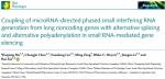 夏瑞课题组发表高水平论文 揭示miRNA介导基因沉默的调控新机制 - 华南农业大学