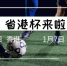 第40届省港杯足球赛首回今晚打响 - 体育局