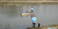 实行河长制后，鹤山市组织保洁队伍清洁沙坪河面及河岸。 - 新浪广东