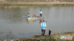 实行河长制后，鹤山市组织保洁队伍清洁沙坪河面及河岸。 - 新浪广东