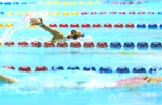 禅城区青少年冬季游泳赛 举行 - 体育局