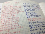 学汉语之路，越难越爱 - 华南师范大学