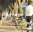 共享单车给市民带来便利的同时也出现了一些问题。 - 新浪广东