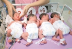 5个新生儿 3个是“二孩” - 广东大洋网