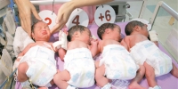 在深圳出生的四胞胎宝宝。 - 新浪广东