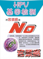 深圳市政协委员建议统一采购 推广中学女生接种HPV疫苗 - 广东大洋网