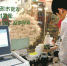 工作人员正在对市场内的食品进行检测。 - 新浪广东