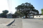 在詹厝村，一小段旧村道被特意保留下来，与新的水泥路形成鲜明的对比。 - 新浪广东