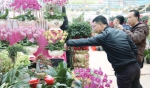 市民在花卉超市看花买花。/花卉世界供图 - 新浪广东