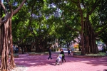 老榕树下“长”出广场，居民乐享慢时光 - 广东大洋网