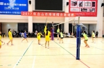 台山春节排球大拜年活动之第十三届男子九人排球联赛圆满谢幕 - 体育局