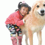 5岁小义工和她宠爱的“家人” - 广东大洋网