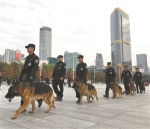 警犬出更 “嗅”出平安 - 广东大洋网