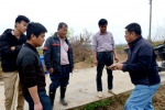 学校帮扶贫困户建设优质高产牧草种植示范基地 - 华南农业大学