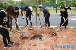 东莞市体育局挥锹植树　弘扬文明风尚 - 体育局