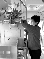 公交车女司机自带鲜花装扮车厢 - 广东大洋网