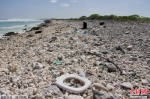 严重威胁人类食物链 太平洋垃圾面积大于法德西总和 - 新浪广东