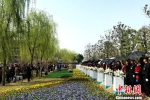 图为扬州市举行生态葬集中安放仪式。　崔佳明 摄 - 新浪广东