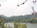 广州生态墓园美如公园 引飞鸟忘返 - 广东大洋网