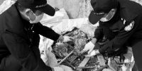 海关工作人员检查“洋垃圾”。 　　通讯员供图 - 新浪广东