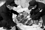 海关工作人员检查“洋垃圾”。 　　通讯员供图 - 新浪广东