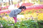 赏花小心花粉过敏，孩子赏花最好别动手碰花。 - 新浪广东