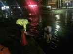 东莞突降大暴雨多地水浸严重 各部门出动救灾 - 新浪广东