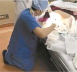 医生就地跪着手术半小时 急救大出血病人 - 新浪广东