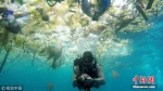 资料图：当地时间2018年3月3日，一名英国男子在巴厘岛海域潜水时拍下触目惊心的一幕。海洋中漂浮着大量塑料垃圾：瓶子、袋子、杯子、桶、吸管等等，鱼类及其他海洋生物都避之而不及。 图片来源：视觉中国 - 新浪广东